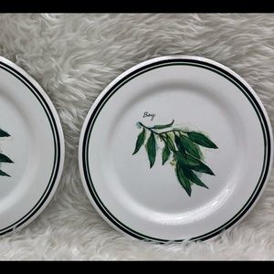 WILLIAMS SONOMA BAY SET OF TWO PLATES